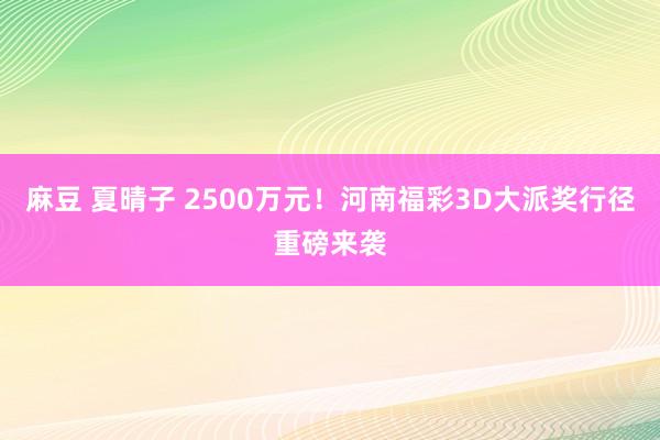 麻豆 夏晴子 2500万元！河南福彩3D大派奖行径重磅来袭