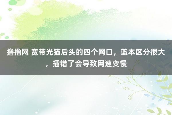 撸撸网 宽带光猫后头的四个网口，蓝本区分很大，插错了会导致网速变慢