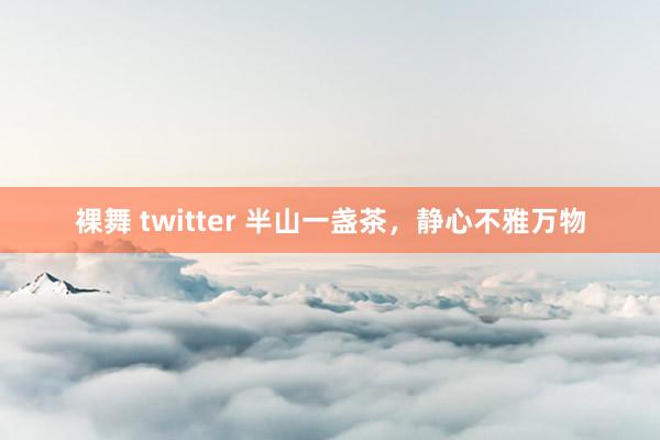 裸舞 twitter 半山一盏茶，静心不雅万物