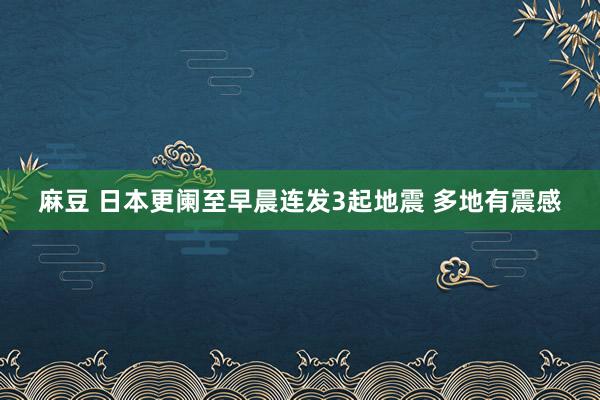 麻豆 日本更阑至早晨连发3起地震 多地有震感