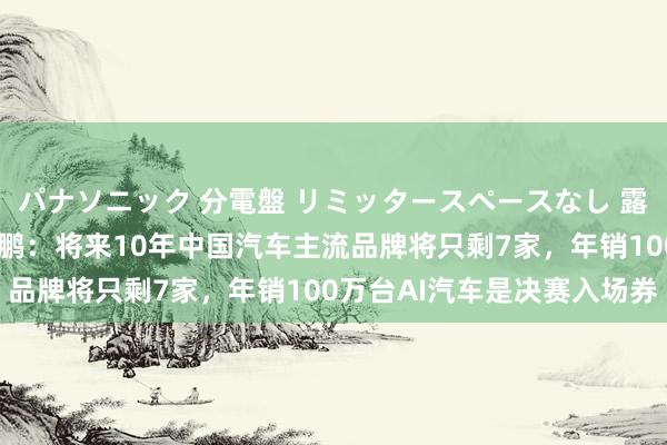 パナソニック 分電盤 リミッタースペースなし 露出・半埋込両用形 何小鹏：将来10年中国汽车主流品牌将只剩7家，年销100万台AI汽车是决赛入场券