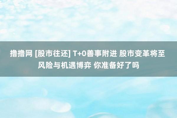 撸撸网 [股市往还] T+0善事附进 股市变革将至 风险与机遇博弈 你准备好了吗