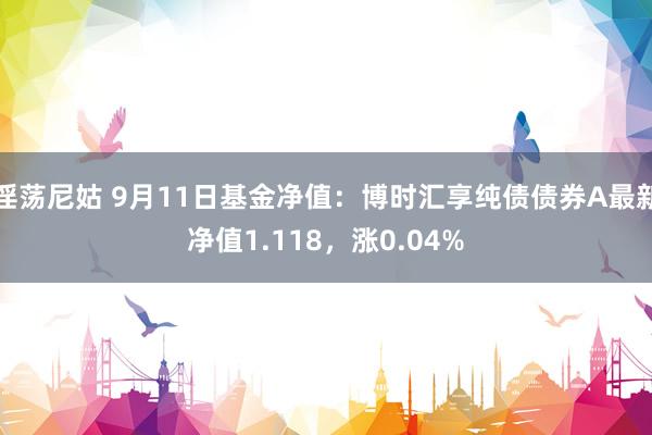 淫荡尼姑 9月11日基金净值：博时汇享纯债债券A最新净值1.118，涨0.04%