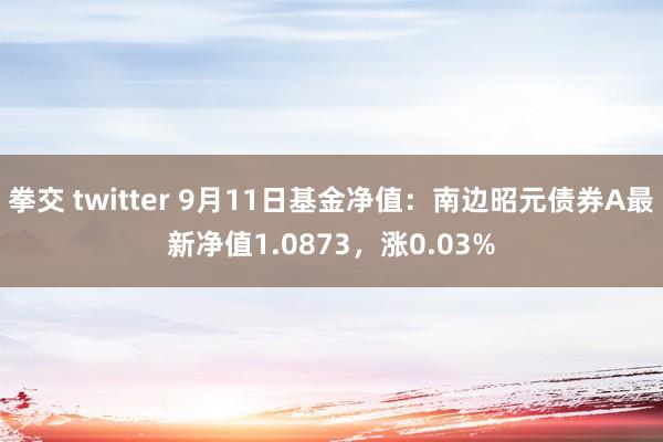 拳交 twitter 9月11日基金净值：南边昭元债券A最新净值1.0873，涨0.03%