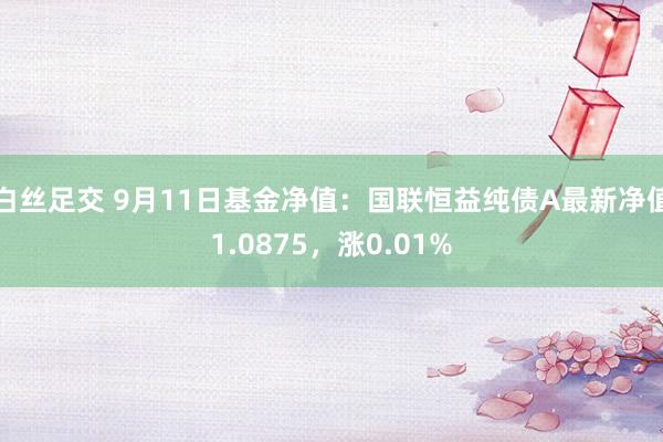 白丝足交 9月11日基金净值：国联恒益纯债A最新净值1.0875，涨0.01%