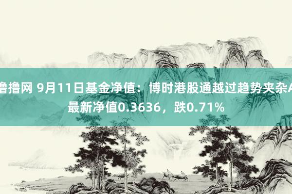 撸撸网 9月11日基金净值：博时港股通越过趋势夹杂A最新净值0.3636，跌0.71%