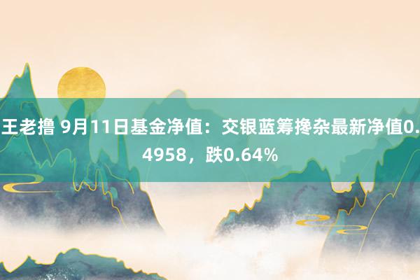 王老撸 9月11日基金净值：交银蓝筹搀杂最新净值0.4958，跌0.64%