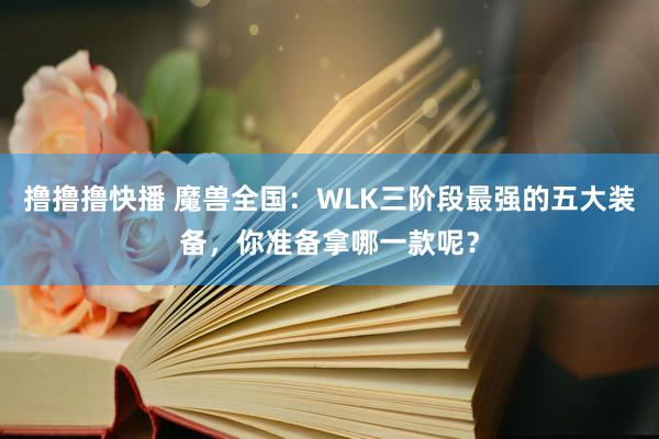 撸撸撸快播 魔兽全国：WLK三阶段最强的五大装备，你准备拿哪一款呢？