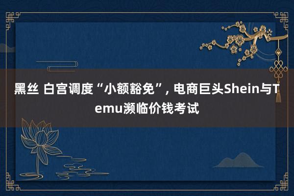 黑丝 白宫调度“小额豁免”， 电商巨头Shein与Temu濒临价钱考试