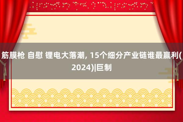 筋膜枪 自慰 锂电大落潮， 15个细分产业链谁最赢利(2024)|巨制