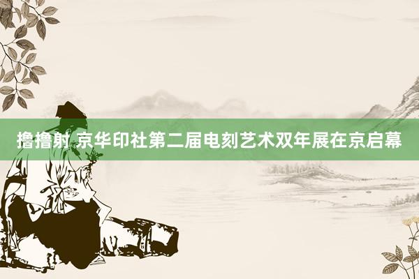 撸撸射 京华印社第二届电刻艺术双年展在京启幕