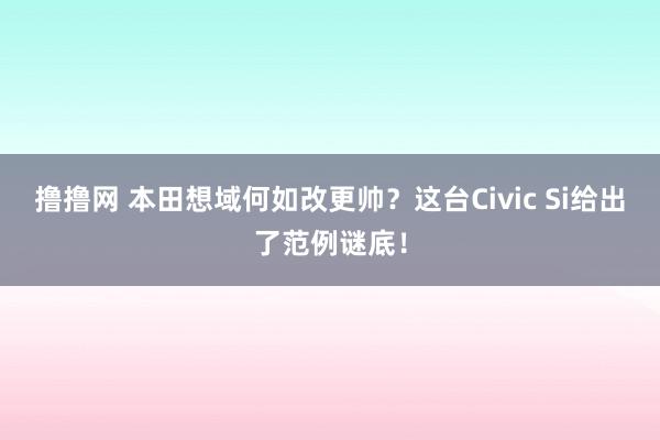 撸撸网 本田想域何如改更帅？这台Civic Si给出了范例谜底！