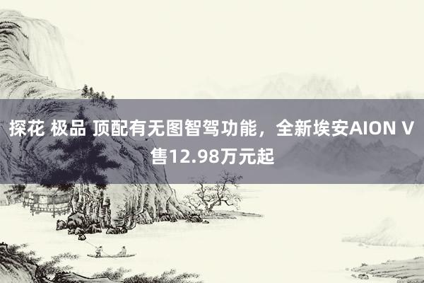 探花 极品 顶配有无图智驾功能，全新埃安AION V售12.98万元起