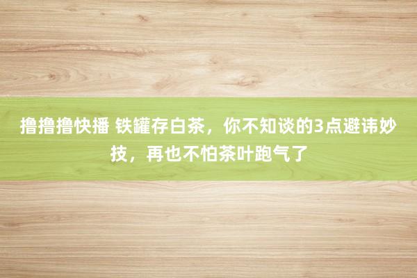 撸撸撸快播 铁罐存白茶，你不知谈的3点避讳妙技，再也不怕茶叶跑气了