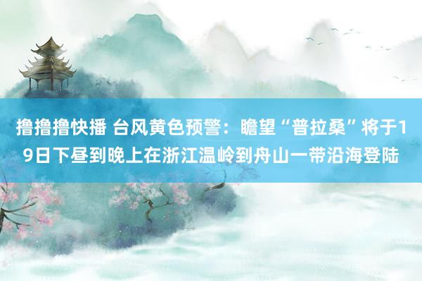 撸撸撸快播 台风黄色预警：瞻望“普拉桑”将于19日下昼到晚上在浙江温岭到舟山一带沿海登陆