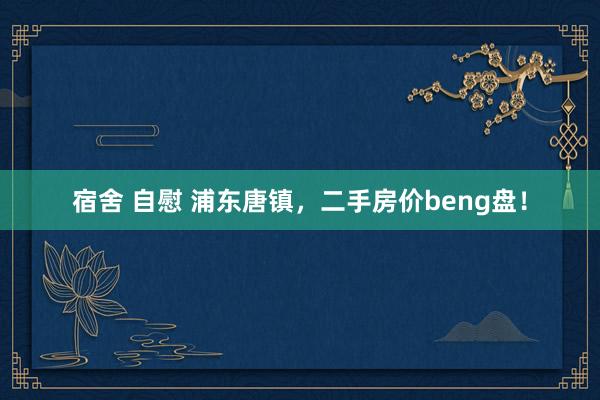 宿舍 自慰 浦东唐镇，二手房价beng盘！