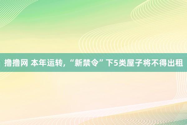 撸撸网 本年运转， “新禁令”下5类屋子将不得出租