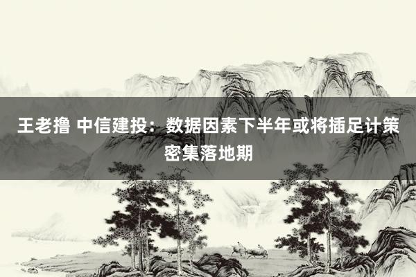 王老撸 中信建投：数据因素下半年或将插足计策密集落地期