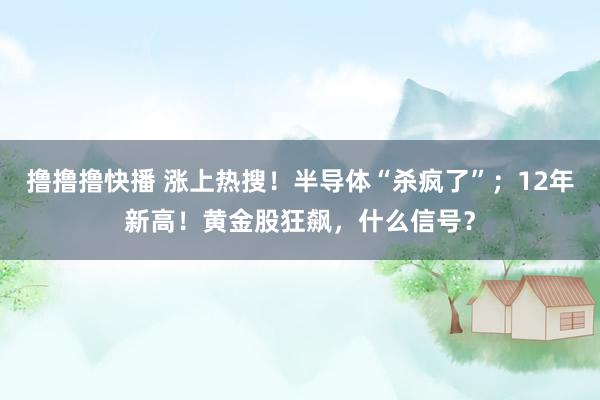 撸撸撸快播 涨上热搜！半导体“杀疯了”；12年新高！黄金股狂飙，什么信号？