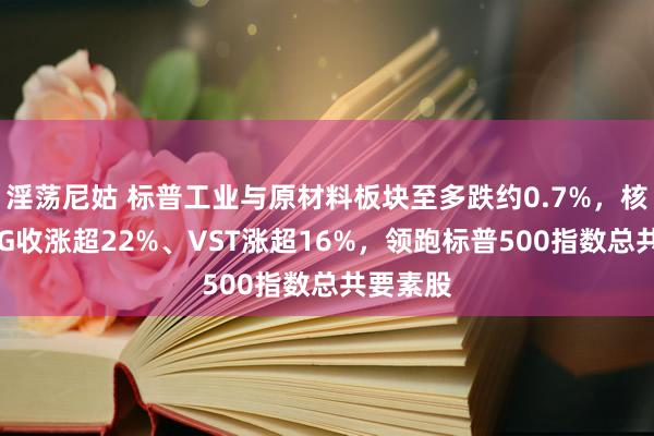 淫荡尼姑 标普工业与原材料板块至多跌约0.7%，核电股CEG收涨超22%、VST涨超16%，领跑标普500指数总共要素股