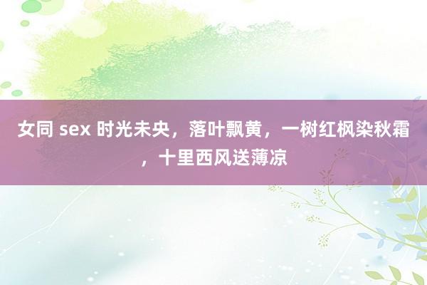 女同 sex 时光未央，落叶飘黄，一树红枫染秋霜，十里西风送薄凉