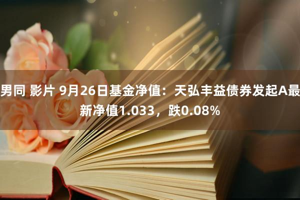 男同 影片 9月26日基金净值：天弘丰益债券发起A最新净值1.033，跌0.08%