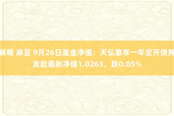 蘇暢 麻豆 9月26日基金净值：天弘惠享一年定开债券发起最新净值1.0263，跌0.05%