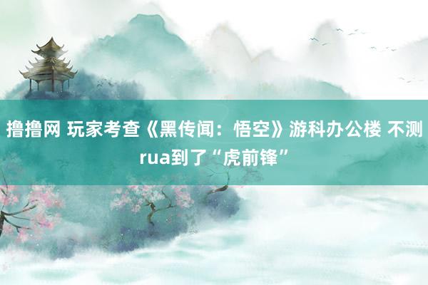 撸撸网 玩家考查《黑传闻：悟空》游科办公楼 不测rua到了“虎前锋”