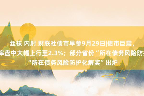 丝袜 内射 财联社债市早参9月29日|债市巨震，30年国债收益率盘中大幅上行至2.3%；部分省份“所在债务风险防护化解奖”出炉