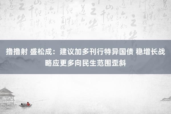 撸撸射 盛松成：建议加多刊行特异国债 稳增长战略应更多向民生范围歪斜