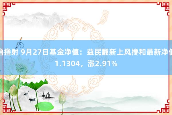 撸撸射 9月27日基金净值：益民翻新上风搀和最新净值1.1304，涨2.91%