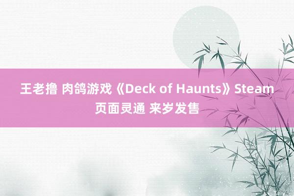 王老撸 肉鸽游戏《Deck of Haunts》Steam页面灵通 来岁发售