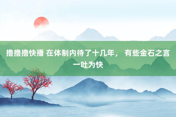 撸撸撸快播 在体制内待了十几年， 有些金石之言一吐为快