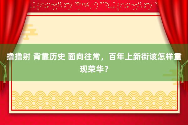 撸撸射 背靠历史 面向往常，百年上新街该怎样重现荣华？