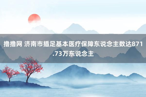 撸撸网 济南市插足基本医疗保障东说念主数达871.73万东说念主