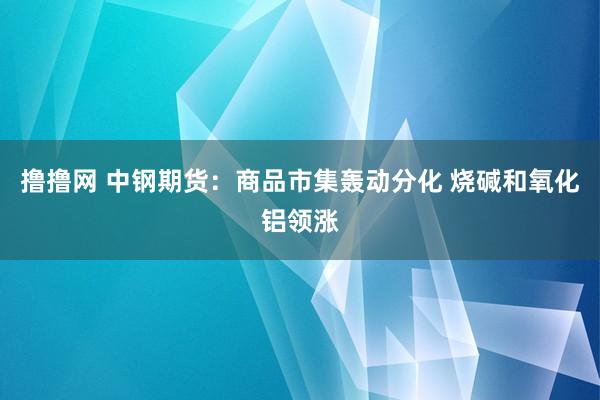 撸撸网 中钢期货：商品市集轰动分化 烧碱和氧化铝领涨