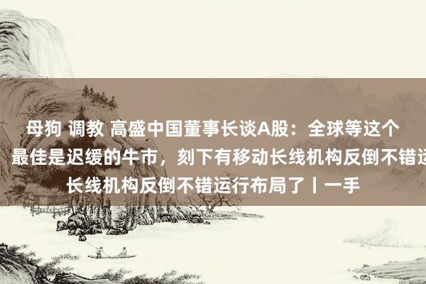 母狗 调教 高盛中国董事长谈A股：全球等这个时期仍是太深刻，最佳是迟缓的牛市，刻下有移动长线机构反倒不错运行布局了丨一手