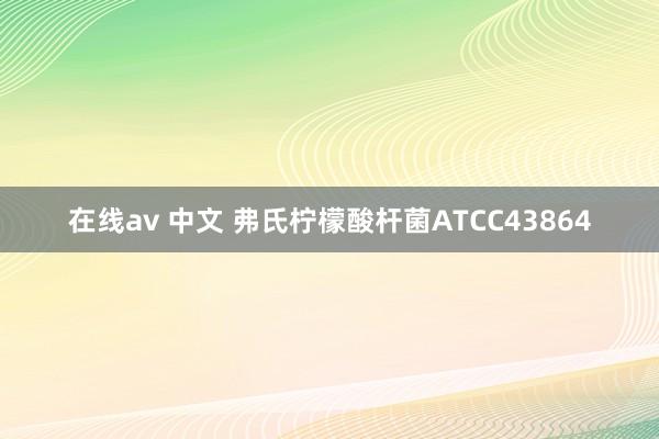 在线av 中文 弗氏柠檬酸杆菌ATCC43864