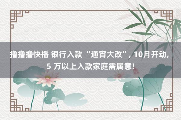 撸撸撸快播 银行入款 “通宵大改”， 10月开动， 5 万以上入款家庭需属意!