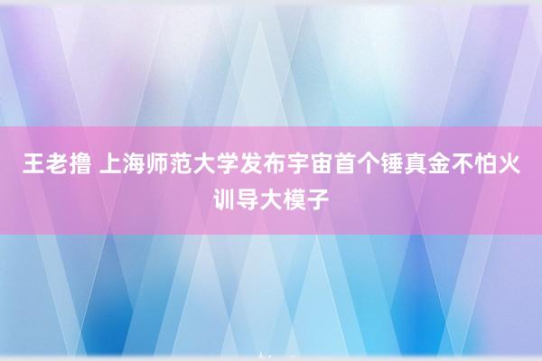 王老撸 上海师范大学发布宇宙首个锤真金不怕火训导大模子