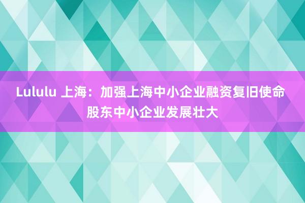 Lululu 上海：加强上海中小企业融资复旧使命 股东中小企业发展壮大