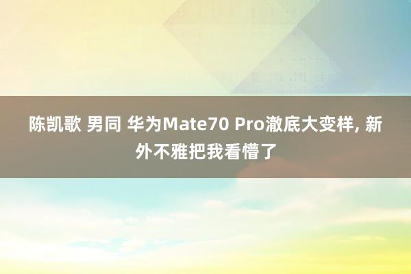 陈凯歌 男同 华为Mate70 Pro澈底大变样， 新外不雅把我看懵了