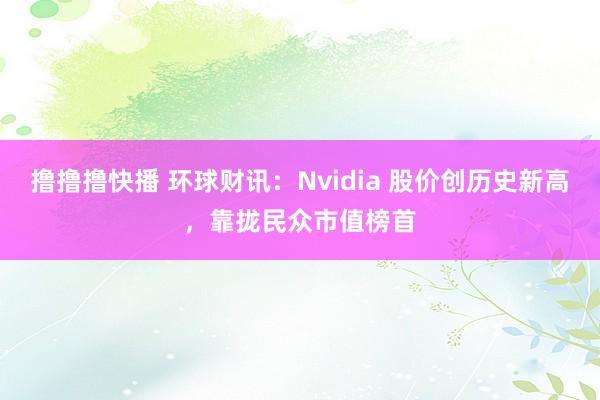 撸撸撸快播 环球财讯：Nvidia 股价创历史新高，靠拢民众市值榜首