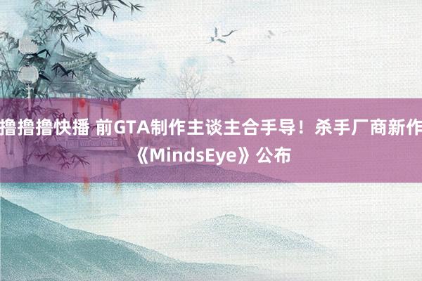 撸撸撸快播 前GTA制作主谈主合手导！杀手厂商新作《MindsEye》公布