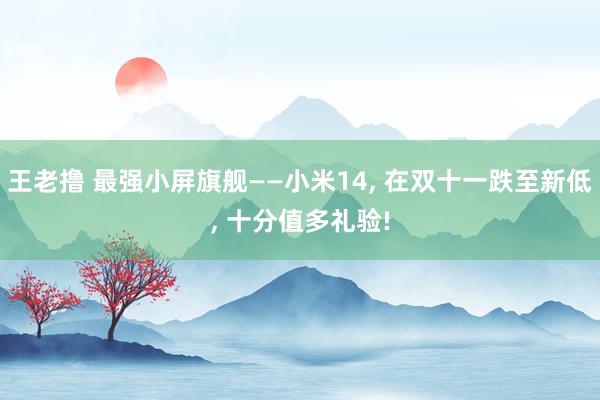 王老撸 最强小屏旗舰——小米14， 在双十一跌至新低， 十分值多礼验!