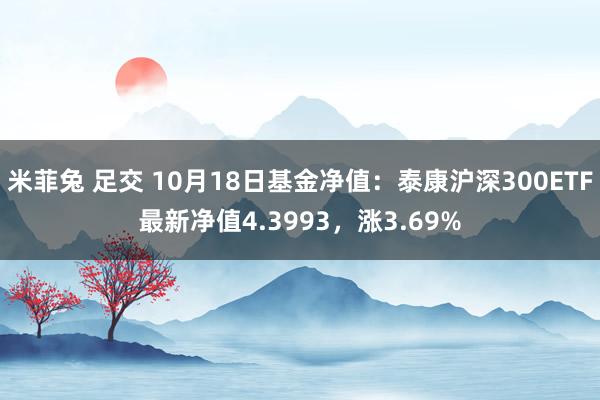 米菲兔 足交 10月18日基金净值：泰康沪深300ETF最新净值4.3993，涨3.69%