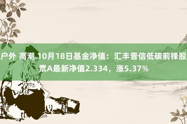 户外 高潮 10月18日基金净值：汇丰晋信低碳前锋股票A最新净值2.334，涨5.37%