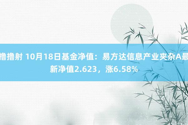 撸撸射 10月18日基金净值：易方达信息产业夹杂A最新净值2.623，涨6.58%