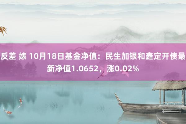 反差 婊 10月18日基金净值：民生加银和鑫定开债最新净值1.0652，涨0.02%