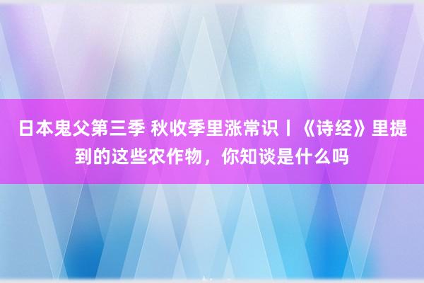 日本鬼父第三季 秋收季里涨常识丨《诗经》里提到的这些农作物，你知谈是什么吗